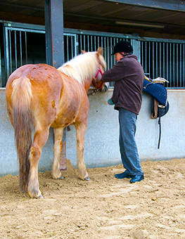 hippotherapie
